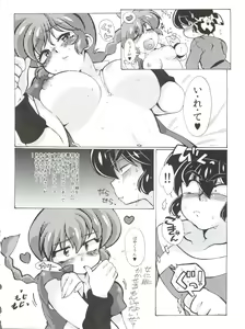 Page 24 of Jajauma ni nacchau! (Ranma 1/2) + phamphlet - preview thumbnail