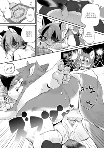Page 8 of Kemokano Banashi - preview thumbnail