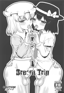Dream Trip — hentai manga cover on Fhentai