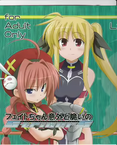Page 3 of Fate-chan Igai to Moroi no StrikerS - preview thumbnail