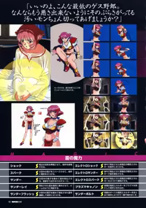 Page 16 of VIPER RSR Settei Gengashuu - preview thumbnail