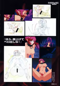 Page 55 of VIPER RSR Settei Gengashuu - preview thumbnail