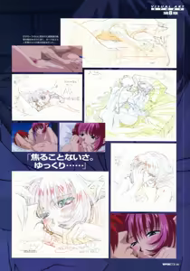 Page 67 of VIPER RSR Settei Gengashuu - preview thumbnail