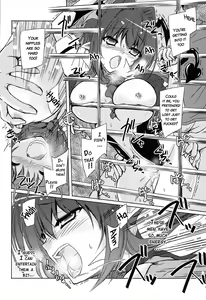 Page 39 of TOUHOU RACE QUEENS COLLABO CLUB -SCARLET SISTERS- - preview thumbnail