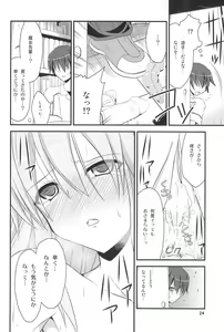 Page 24 of MODEL FT - preview thumbnail