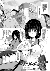 Mahou Shoujo Mei to Saigo no  Yoru — hentai manga cover on Fhentai