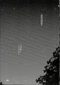 Page 21 of FLYHIGH - preview thumbnail