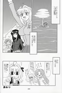 Page 23 of Indomame - preview thumbnail