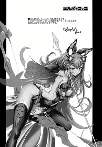 Page 3 of EluPa Fes - preview thumbnail