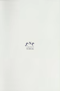 Page 3 of .exe - preview thumbnail