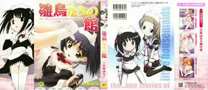 Page 2 of Hinadori Tachino Yakata - preview thumbnail
