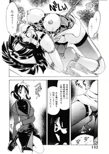 Page 141 of Choukyou Injuu Zukan - preview thumbnail