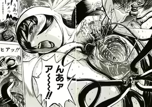 Page 147 of Mite... - preview thumbnail