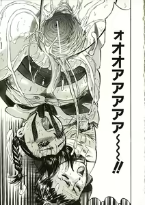 Page 43 of Mite... - preview thumbnail