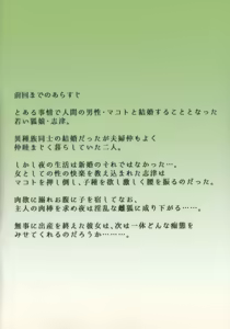 Page 3 of Irui Konintan Gaiden - preview thumbnail
