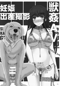 Page 3 of Shiawase no Katachi no Guruguru Netachou 87 Juukan AV Ninshin Shuusan Satsuei - preview thumbnail