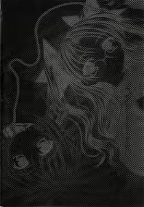 Page 33 of Clematis - preview thumbnail