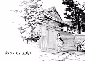 Page 3 of Ane Naru Mono Zenshuu 1 - preview thumbnail