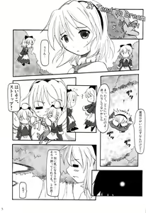 Page 4 of Touhou Goudoushi - preview thumbnail