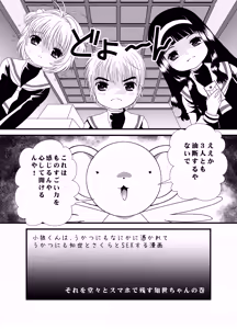 Page 3 of CARD CAPTOR SAKURA 2017 - preview thumbnail