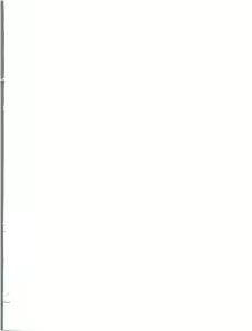 Page 3 of RED MUFFLER S - preview thumbnail