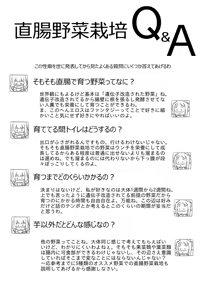 Page 7 of Kyou kara Hajimeru Chokuchou Yasai Saibai - preview thumbnail