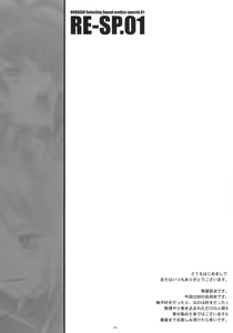 Page 3 of RE-SP.01 - preview thumbnail