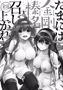 Page 3 of Tama ni wa Kongou Haruna o Meshiagare - preview thumbnail