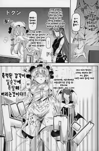 Page 14 of Totsuzen Gekiiki Patchouli-sama - preview thumbnail