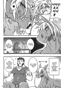 Page 13 of Mare Holic 5 Kemolover EX - preview thumbnail