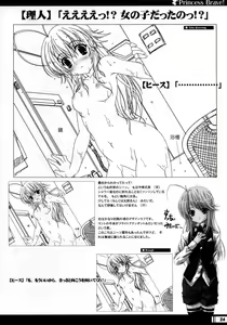 Page 23 of Princess Brave! Jantaku no Kishi - Settei Gengashuu - preview thumbnail