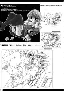 Page 26 of Princess Brave! Jantaku no Kishi - Settei Gengashuu - preview thumbnail