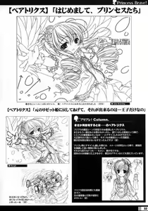 Page 31 of Princess Brave! Jantaku no Kishi - Settei Gengashuu - preview thumbnail