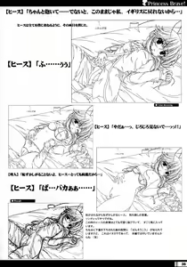 Page 35 of Princess Brave! Jantaku no Kishi - Settei Gengashuu - preview thumbnail