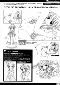 Page 47 of Princess Brave! Jantaku no Kishi - Settei Gengashuu - preview thumbnail