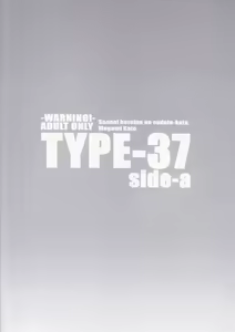 Page 22 of TYPE-37 side-a - preview thumbnail