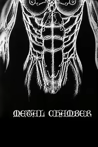 Page 3 of Metal Chember - preview thumbnail