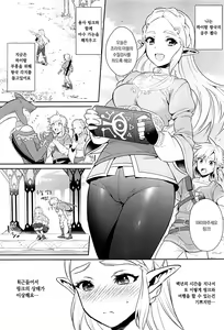 Page 5 of Hyrule Hanei no Tame no Katsudou! | 하이랄 번영 을위한 활동! - preview thumbnail