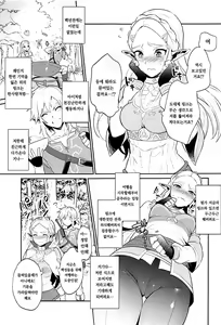 Page 7 of Hyrule Hanei no Tame no Katsudou! | 하이랄 번영 을위한 활동! - preview thumbnail