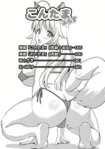 Page 3 of Kontama Plus - preview thumbnail
