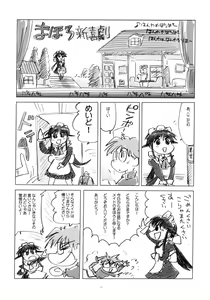 Page 36 of Toorimatic 2 - preview thumbnail