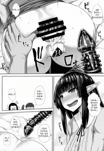 Page 12 of Elf no Shiri no Ana ga Gabagaba na Riyuu | 그녀 (엘프)의 엉덩이 구멍이 헐렁헐렁한 이유 - preview thumbnail