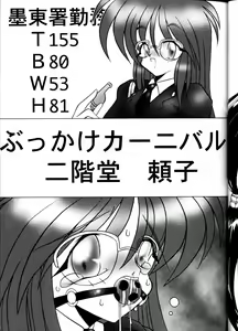 Page 27 of MEGAMI SPIRIT II - preview thumbnail