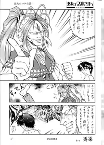 Page 5 of MEGAMI SPIRIT II - preview thumbnail