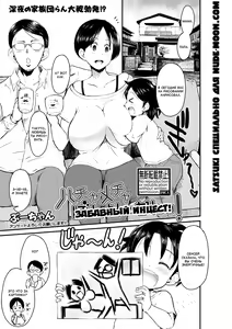 Hachamechaba Shisoukan! | Забавный инцест! — hentai manga cover on Fhentai
