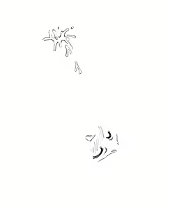 Page 40 of Negikamo? - preview thumbnail