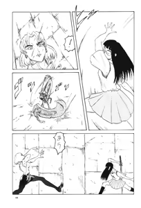 Page 48 of BONNOU BOOK - preview thumbnail