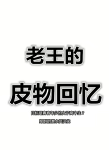 Skin recollection（潜水员汉化） — hentai manga cover on Fhentai