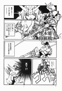 Page 25 of CHROMIUM EDELWEISS - preview thumbnail