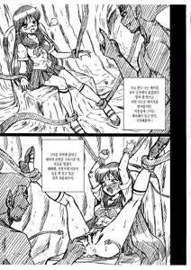 Page 3 of SAILORMOON FILE Hino Rei Gazoushuu - preview thumbnail